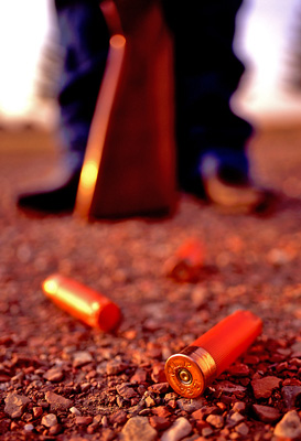 Spent shotgun shells
